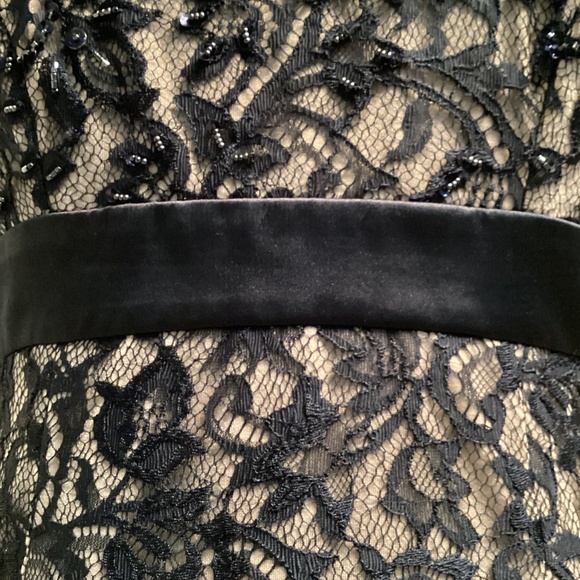 Tadashi Shoji Classic Collection Navy Blue Lace Cocktail Dress - Picture 5 of 15